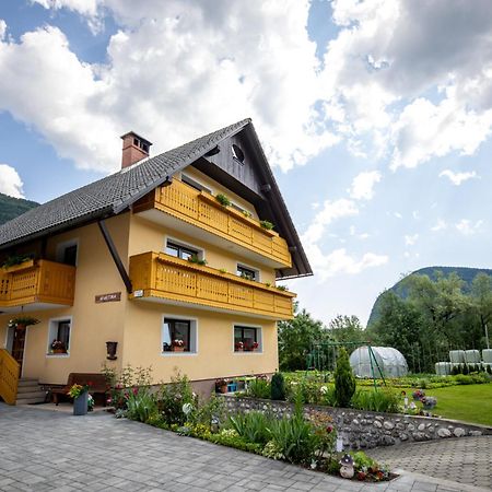 Apartmaji Matej Cvetek Бохинь Экстерьер фото